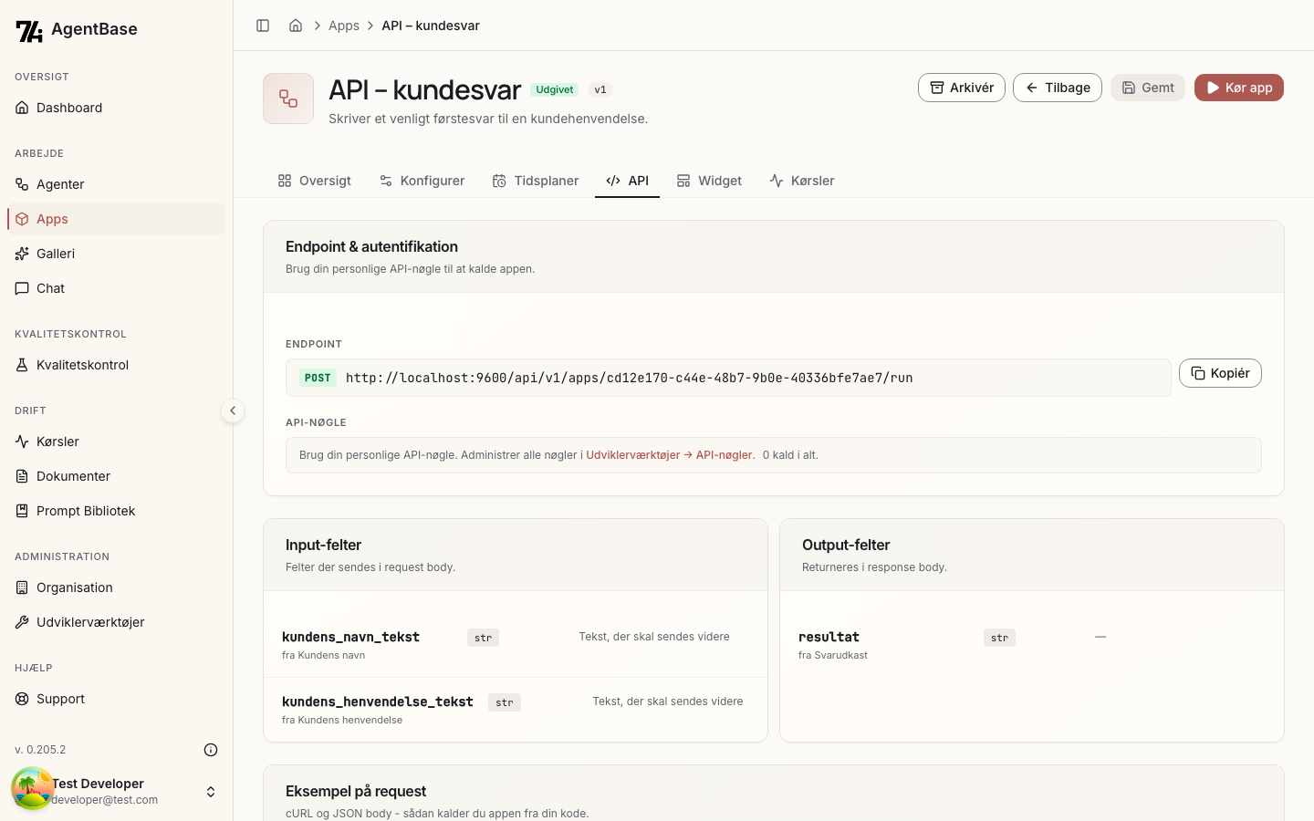 API-fanen på en udgivet app med endpoint, API-nøgle-note og input- og output-felter